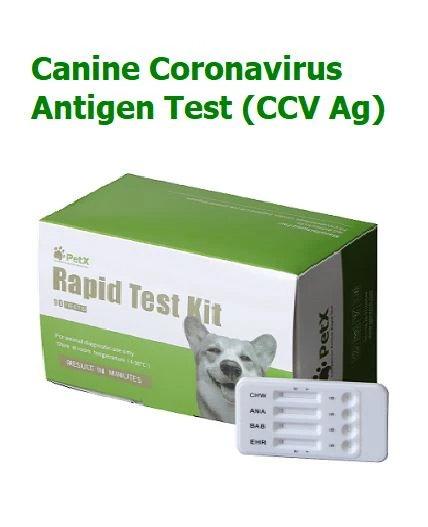 Brzi test na antigen virusa korona kod pasa